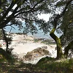 Le Camelia - T2 A100m Plage, Coeur Du Commando Appartement *