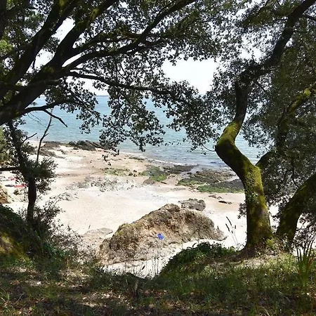 Le Camelia - T2 A100m Plage, Coeur Du Commando Апартаменты *